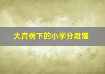 大青树下的小学分段落