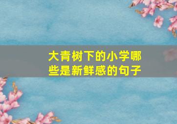 大青树下的小学哪些是新鲜感的句子