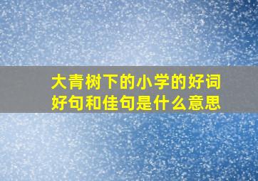 大青树下的小学的好词好句和佳句是什么意思