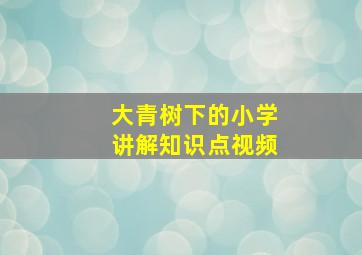 大青树下的小学讲解知识点视频