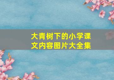 大青树下的小学课文内容图片大全集