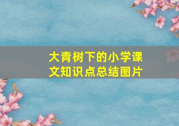 大青树下的小学课文知识点总结图片