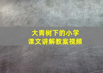 大青树下的小学课文讲解教案视频