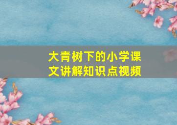 大青树下的小学课文讲解知识点视频