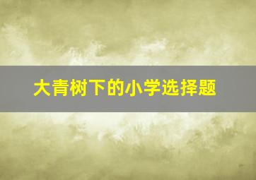 大青树下的小学选择题