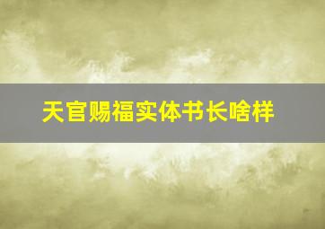 天官赐福实体书长啥样