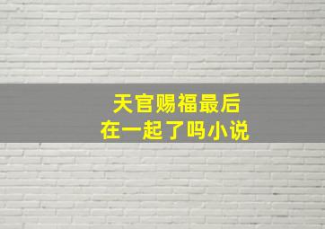 天官赐福最后在一起了吗小说