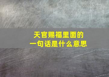 天官赐福里面的一句话是什么意思