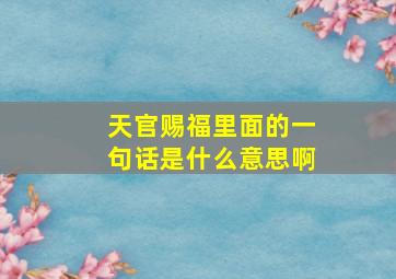 天官赐福里面的一句话是什么意思啊