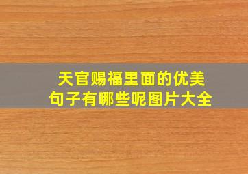 天官赐福里面的优美句子有哪些呢图片大全