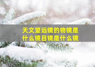 天文望远镜的物镜是什么镜目镜是什么镜