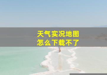 天气实况地图怎么下载不了