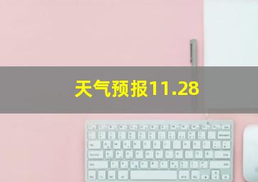 天气预报11.28