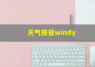 天气预报windy