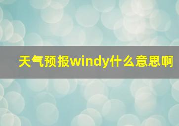 天气预报windy什么意思啊