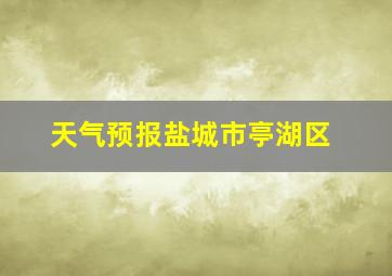 天气预报盐城市亭湖区