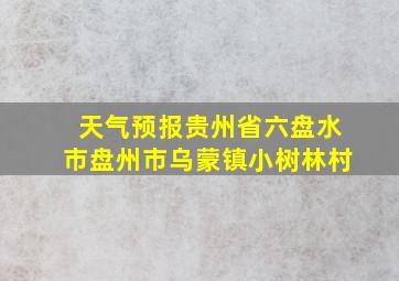 天气预报贵州省六盘水市盘州市乌蒙镇小树林村