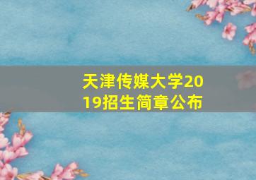 天津传媒大学2019招生简章公布