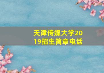 天津传媒大学2019招生简章电话