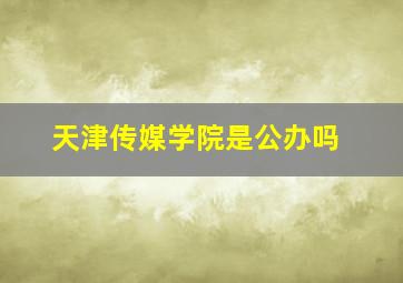 天津传媒学院是公办吗