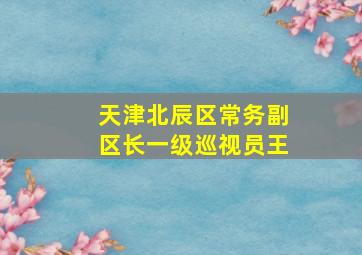 天津北辰区常务副区长一级巡视员王