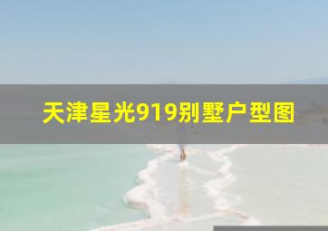 天津星光919别墅户型图