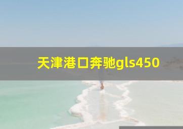 天津港口奔驰gls450