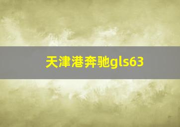 天津港奔驰gls63