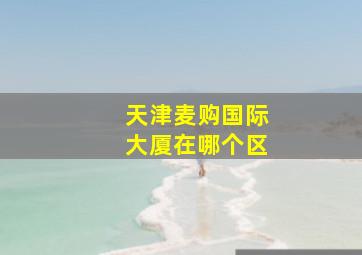 天津麦购国际大厦在哪个区