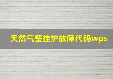 天然气壁挂炉故障代码wps