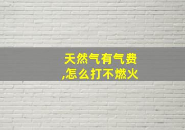 天然气有气费,怎么打不燃火