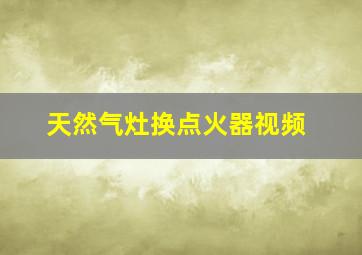 天然气灶换点火器视频