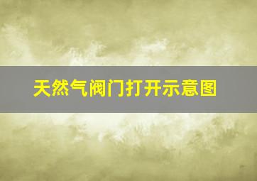 天然气阀门打开示意图