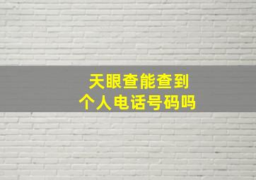 天眼查能查到个人电话号码吗