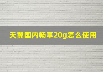 天翼国内畅享20g怎么使用