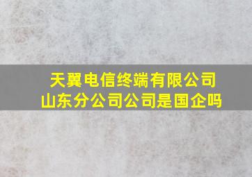 天翼电信终端有限公司山东分公司公司是国企吗