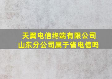 天翼电信终端有限公司山东分公司属于省电信吗