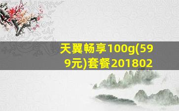 天翼畅享100g(599元)套餐201802