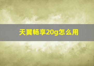 天翼畅享20g怎么用