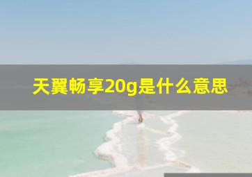 天翼畅享20g是什么意思