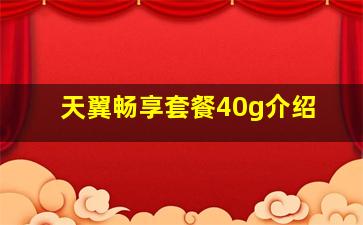 天翼畅享套餐40g介绍