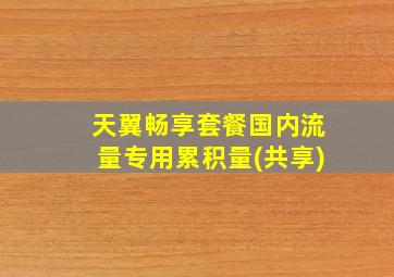 天翼畅享套餐国内流量专用累积量(共享)