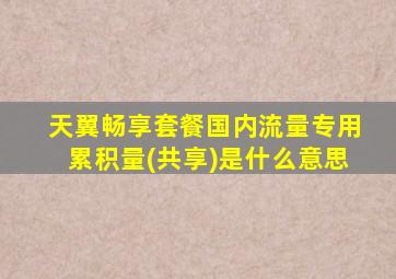 天翼畅享套餐国内流量专用累积量(共享)是什么意思