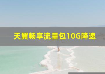 天翼畅享流量包10G降速