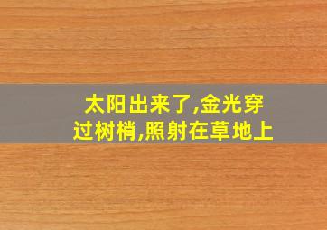 太阳出来了,金光穿过树梢,照射在草地上