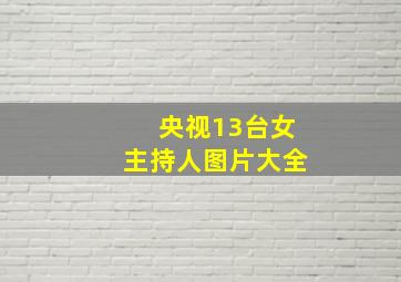 央视13台女主持人图片大全