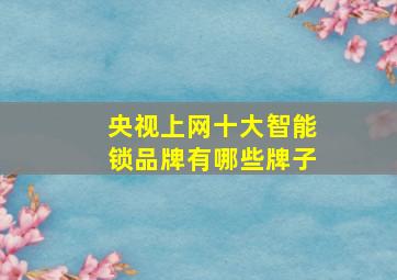 央视上网十大智能锁品牌有哪些牌子