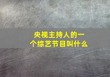 央视主持人的一个综艺节目叫什么