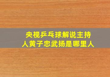 央视乒乓球解说主持人黄子忠武扬是哪里人