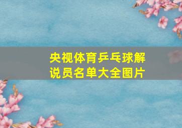 央视体育乒乓球解说员名单大全图片